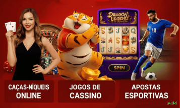 Formulário registro uudd